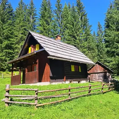 BRINA Pokljuka