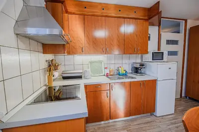 a kitchen with wooden cabinets and a white refrigerator at Holiday Home Oxi in Čatež ob Savi