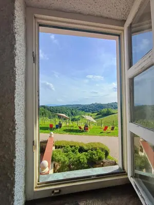 a window with a view of a garden at Herga Wine Estate - Nest above wine cellar - rooms in Ivanjkovci