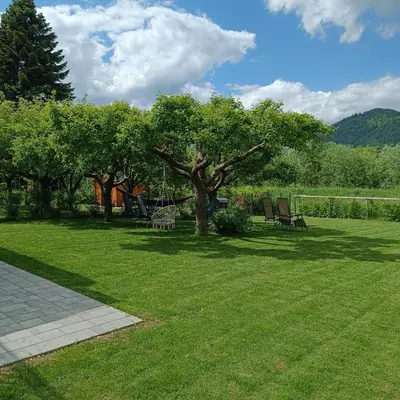 a lawn with chairs and a tree in a yard at Apartma z lepo teraso za 3+1 osebe in Bled
