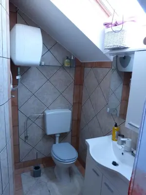 a small bathroom with a toilet and a sink at Holiday home in Dragatus - Kranjska (Krain) 50798 in Dragatuš