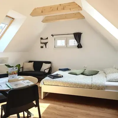 Slovenian House Mira