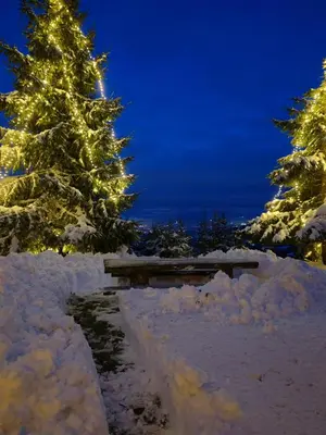 a picnic table in the snow with a christmas tree at apartma Pohorc - Praprot in Pohorje