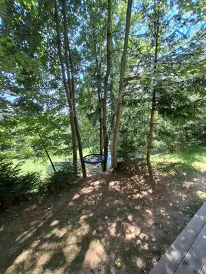 a park with a bench in the shade of trees at apartma Pohorc - Praprot in Pohorje