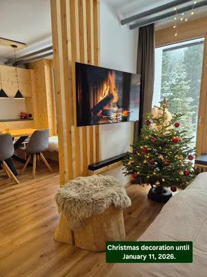 a living room with a christmas tree and a television at New cosy apartment in nature - Krvavec in Cerklje na Gorenjskem