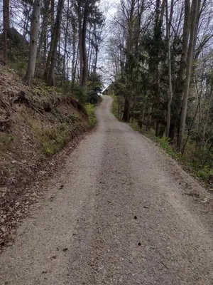 a dirt road with trees on either side at Holiday apartement Sentjur in Šentjur