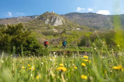 two people riding bikes in a field of flowers at PREMIUM B&B Nova Gorica, Self Check-In with code access in Nova Gorica