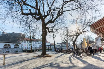 a group of people sitting at tables on a city street at Old Town ground floor in Ljubljana