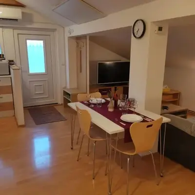 Apartment Swan