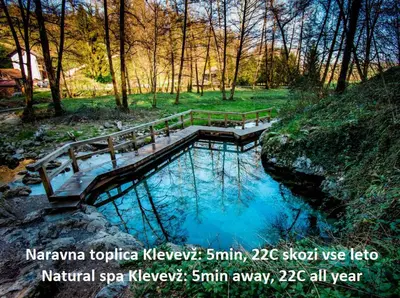 a small pool of blue water with a wooden bridge at Vineyard cottage Pri mali luži in Trebelno
