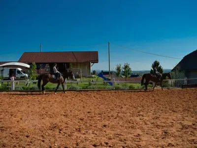two people riding horses on a dirt field at Standard One Bedroom Apartment in Brežice