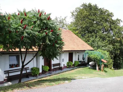 a house with a tree in front of it at Holiday Home with A - C in Zgornji Leskovec 54833 in Zgornji Leskovec