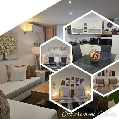 Apartment Andy