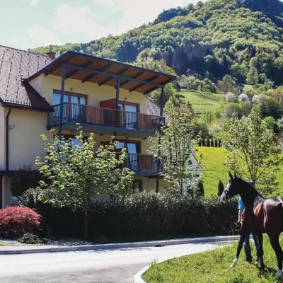 Stunning Apartment In Lasko With Wifi