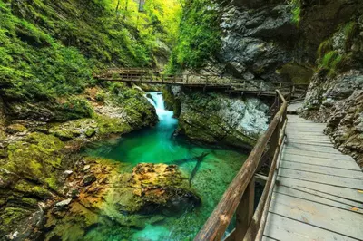 a bridge over a river in a canyon at Villa Dei Sogni in Bled