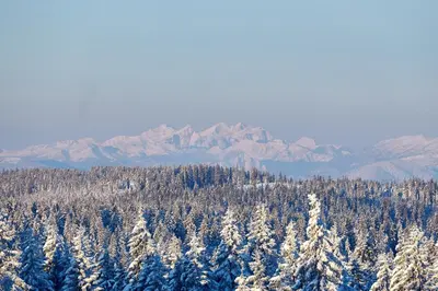 a snow covered forest with snow covered trees and mountains at Hotel Planja in Zreče