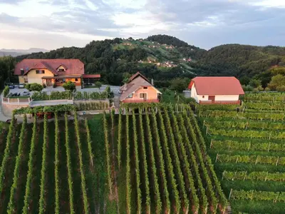 an aerial view of a vineyard and a house at Vineyard Cottage Urban in Mirna