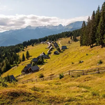 a grassy hill with a bunch of houses on it at Apartma Dominik in Zgornje Gorje
