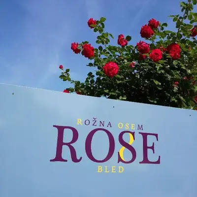 Rose 8 Bled