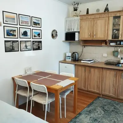 ECO-LUX APART with free bicycles end free parking