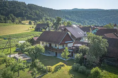 an aerial view of a house in a vineyard at Vineyard cottage Kolpa Zupančič in Stari Trg ob Kolpi