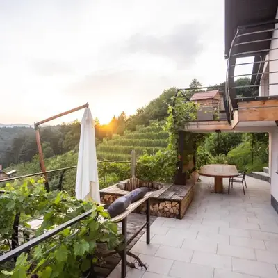 Vineyard cottage Sonce