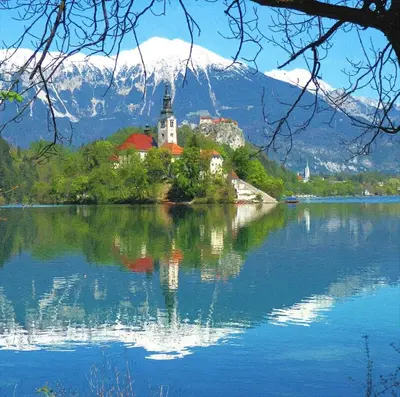 a church on an island in the middle of a lake at Apartments Apple Garden 4P in Bled