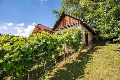 a bunch of vines in front of a building at Holiday home in Dobrnic - Dolenjska & Bela krajina Unter- & Weißkrain 26093 in Dobrnič